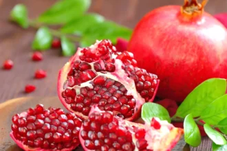 Mathalam (Punica granatum) – vibrant red pomegranate fruit with medicinal and Ayurvedic value